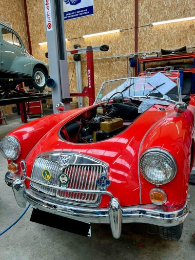 485028860_9561785653877499_4369611617673738144_n